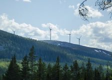Stora Enso wants to acquire forest assets from Bergvik Skog AB