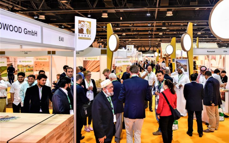 Housing market boom to drive Middle East’s wood market growth