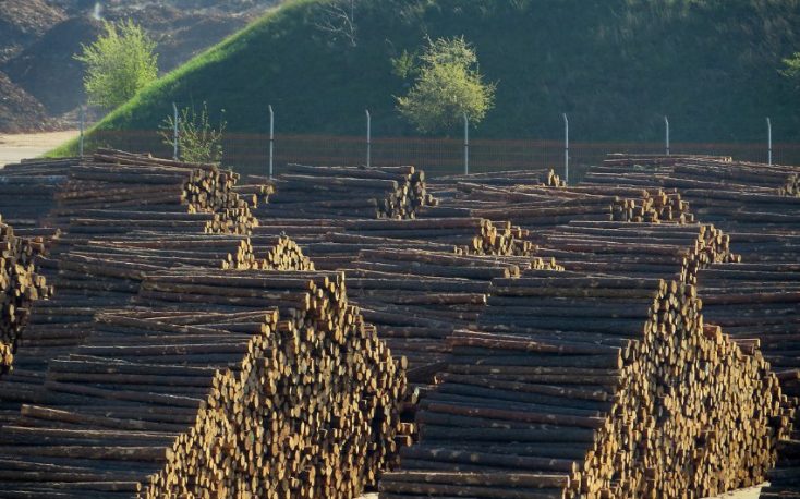 China plans to tackle the problem of illegal logging in a new forest law