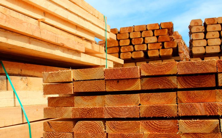 Global lumber trade trends: US imports high, contrary to China, Japan and MENA