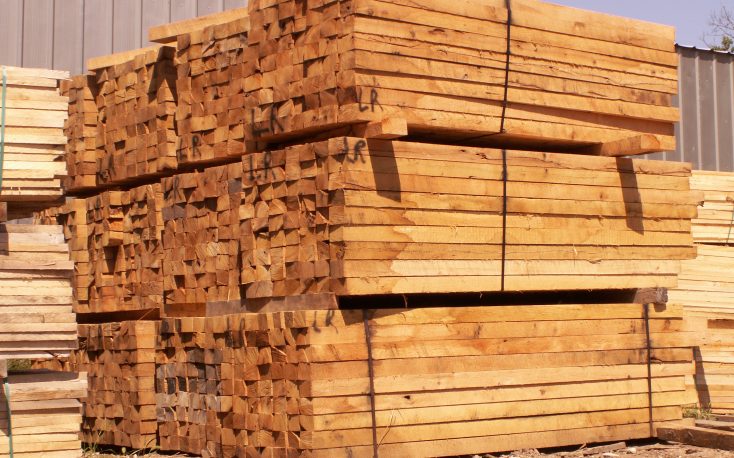 Great Southern Wood Preserving opens new sawmill in Southeast Alabama