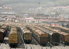 Russia to double export tariffs for Far Eastern softwood species