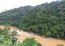 Myanmar implements 10-year reforestation plan