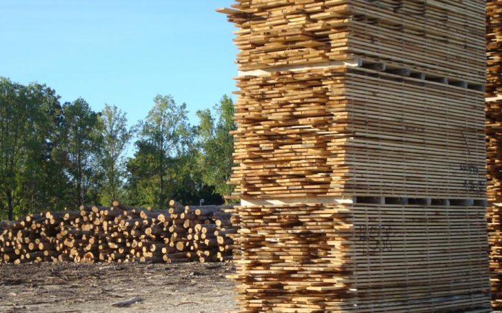 Lumber shortage and rising prices affecting N. American construction industry