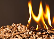 Brussels aims to tighten rules on burning wood pellets
