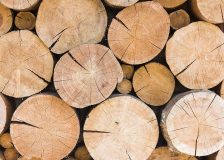 Lithuania plans timber export ban as sanctions cause raw material shortage