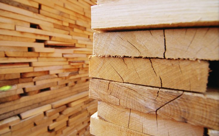 Softwood logs exports from Europe to China excedeed those of softwood lumber