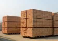 US softwood lumber consumption expected to reach record-highs by 2030