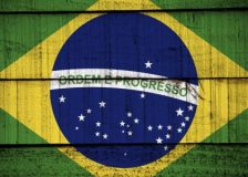 Brazil’s roundwood exports hit record high