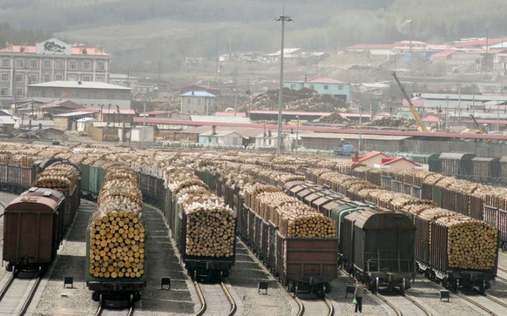 Russian softwood logs exports collapse in 2019