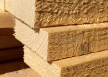 Germany: Wood price evolution for 2023 still uncertain