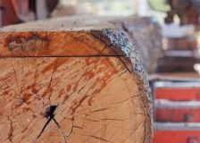 Largest Canadian lumber companies announce sawmill production curtailments in May