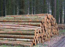 Ireland: Falling timber prices in Q3/2022
