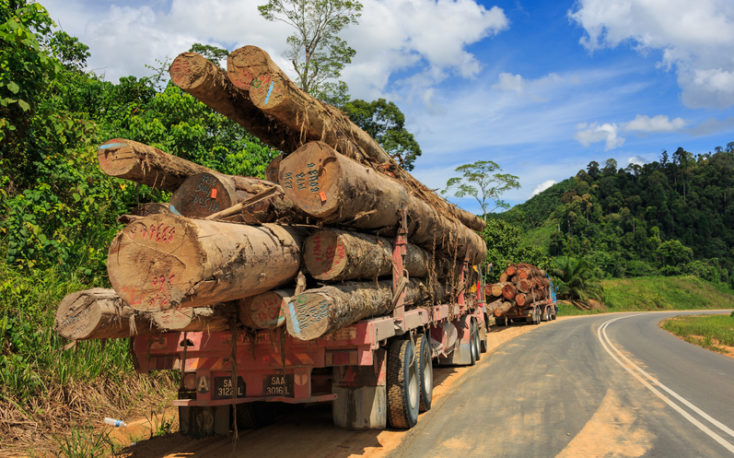 European timber operations in Africa move to Asia