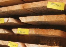 Denmark expects rising trends in its timber industry