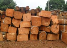Wood products exports from Vietnam amount to US$5 billion in January-July 2018