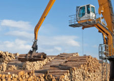 RFP Group plans to build wood processing plant in Russia’s Far East