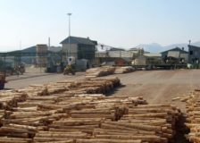 B.C. sawmills hope that the horrible 2019 won’t repeat in 2020