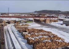 Russian timber exporters seek new markets in Middle East and Asia