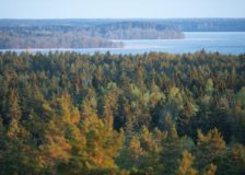 SCA signs letter of intent to buy 10 000 hectares of forest land in Latvia