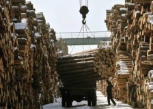 Substantial increases in production costs for China’s wood product sector