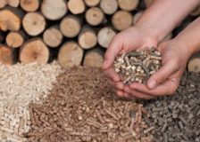 Russia’s wood industry increased lumber and pellets production