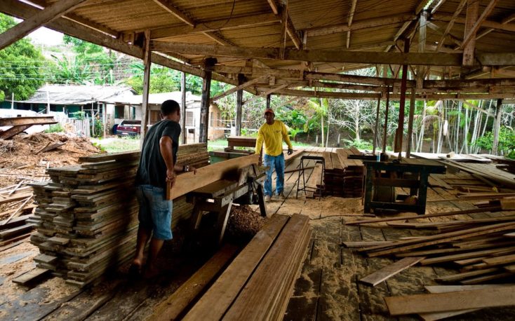 Indonesian timber imports into the EU threatened by new deforestation law