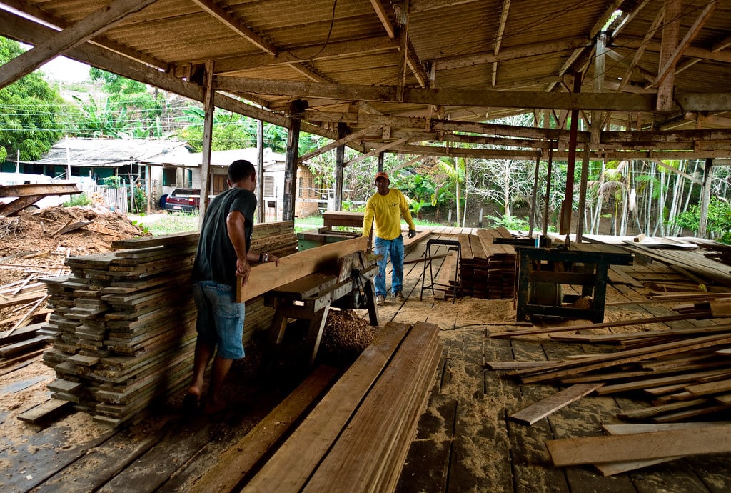 Indonesian timber industry seeks to take advantage of the US-China