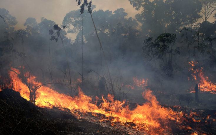The United States supports Brazil to protect the Amazon rainforest