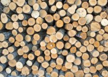 Weak market for European birch timber in China