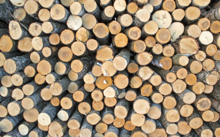 Weak market for European birch timber in China