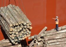 China: Quarantine requirements on imported pine logs and lumber came into force