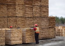 European softwood lumber exports to the US at a high pace in Q1/2022