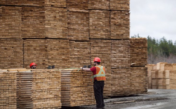 European softwood lumber exports to the US at a high pace in Q1/2022