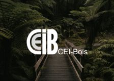 A look back at the general meeting of CEI-Bois