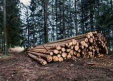 Austria criticizes ”restrictive” EU forest regulations
