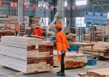 China’s softwood lumber imports down 13% in 2022; prices rise