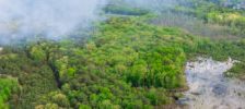 EUDR- new deforestation free regulation and what does it mean for timber businesses?