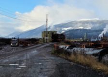 Skeena Sawmills to shut down log deliveries temporarily
