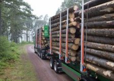 Södra announces pine and spruce timber price hikes; expects strong demand this spring