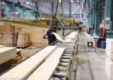 Western forestry companies sold 13 plants in Russia since beginning of war in Ukraine