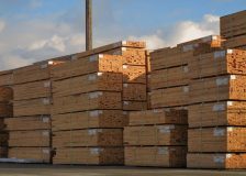 China: Rise in CIF prices for sawnwood imports