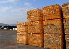 France: Lumber prices drop in Q4/2022