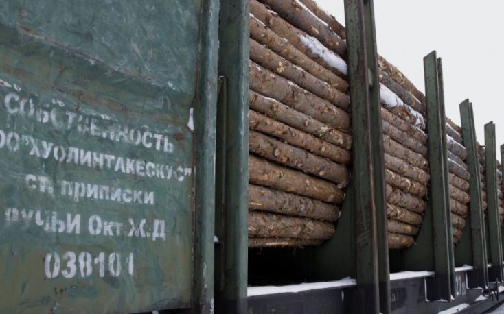 Northwestern Russian timber companies consider relocation to Far East