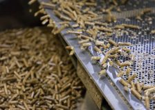Vietnam: Forecast of wood pellet market in 2023
