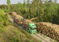 Södra anticipates rising timber demand in summer and autumn and raises prices