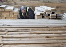 Europe’s softwood lumber market faces mixed prospects amidst global uncertainties
