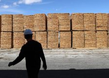 The US forecast to become a net exporter of softwood lumber in five years