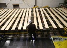 West Fraser expects similar lumber shipments this year