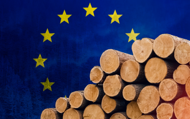 17 producer countries protest against EU Deforestation Regulation